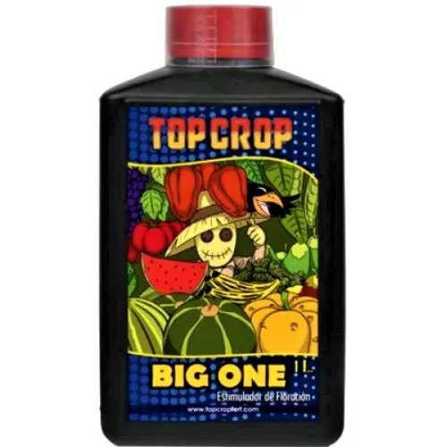 BIG ONE 1L TOP CROP