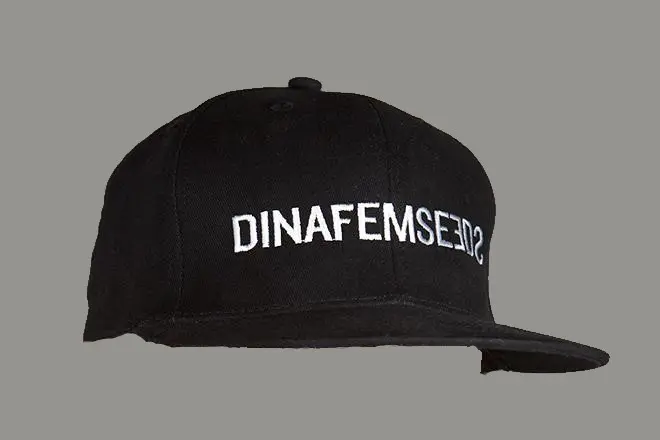 DINAFEM FLAT CAP