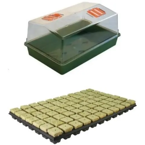 GERMINAZIONE e TALEE