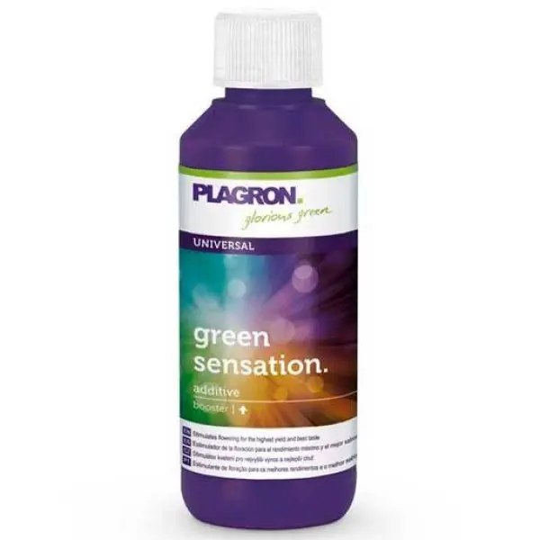 GREEN SENSATION  100 ml PLAGRON