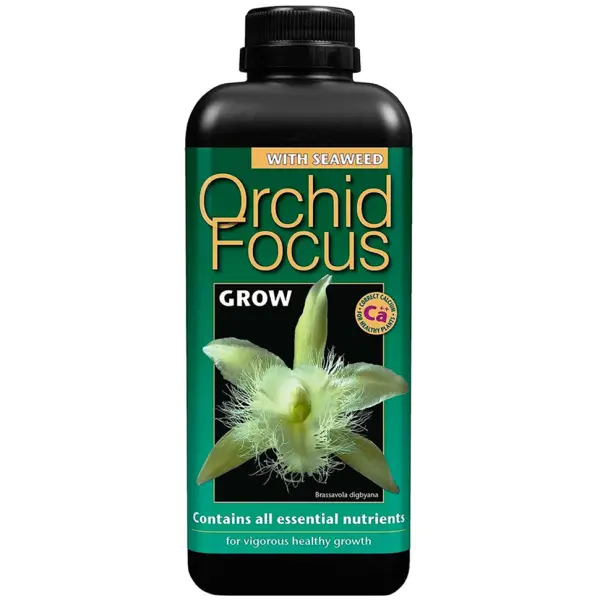 ORCHID FOCUS GROW 1L GROWTH TECHNOLOGY