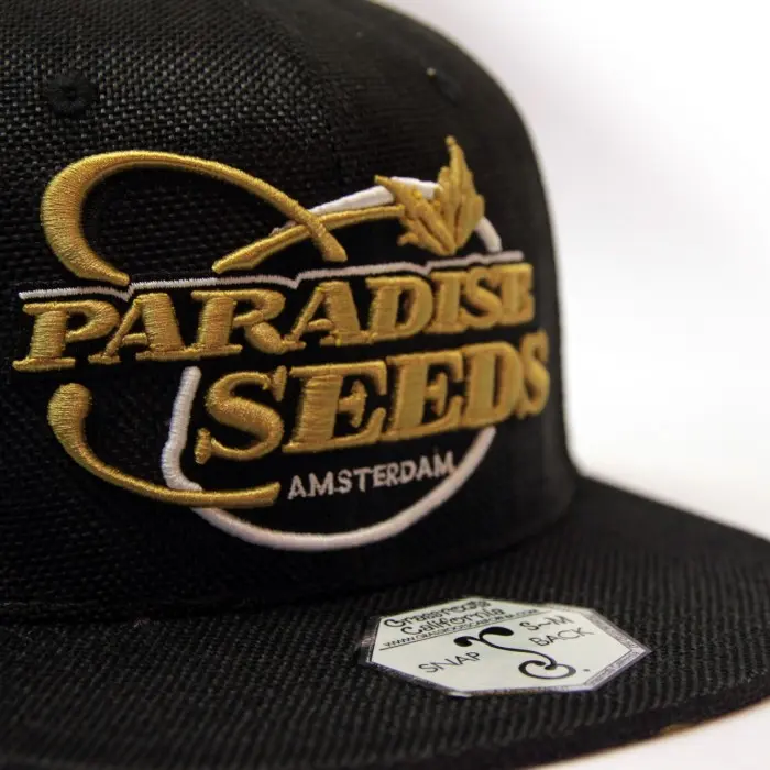 PARADISE BLACK-GOLD HEMP SNAPBACK 