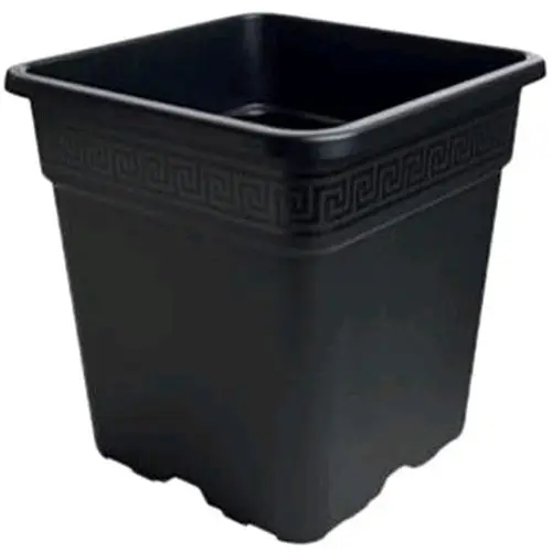 VASI IN PLASTICA
